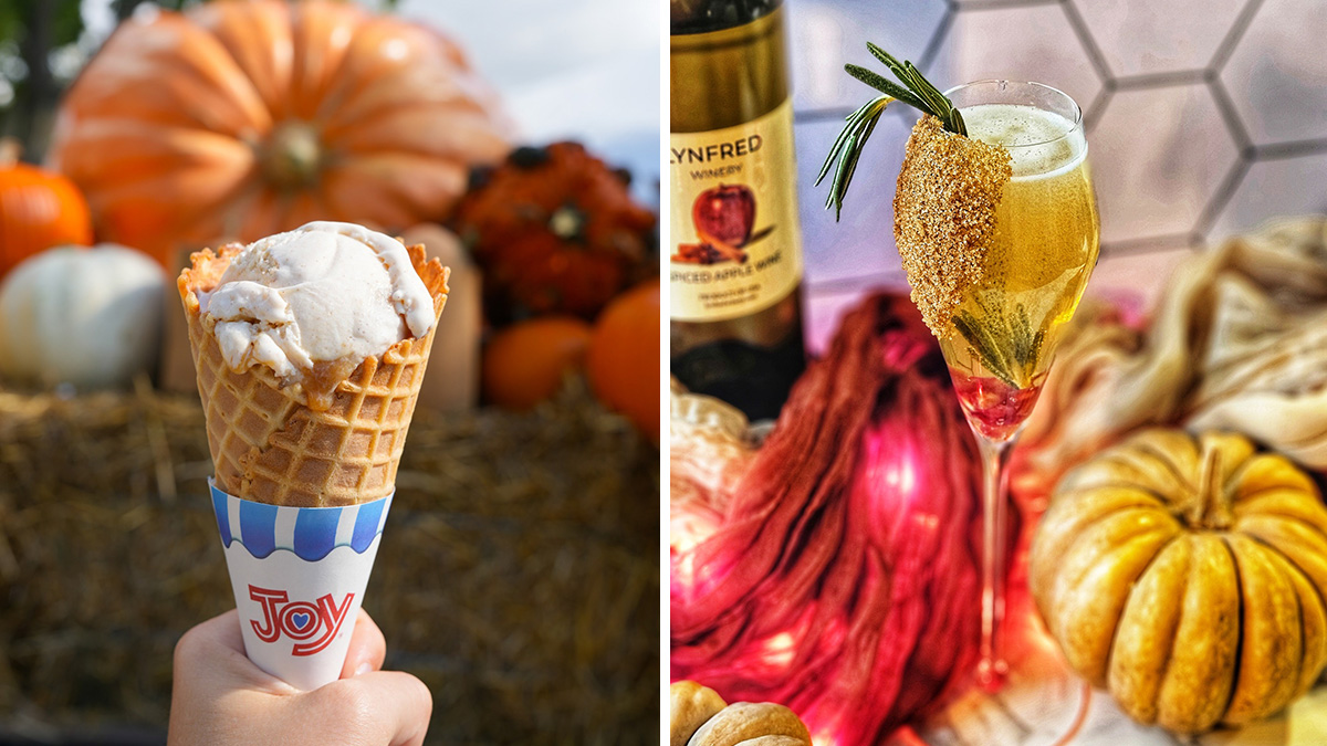 10 Autumn Treats in Lake County, Illinois 2025